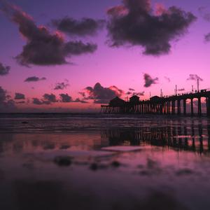 美女脱一光二净
