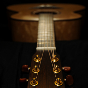 美女脱一光二净
